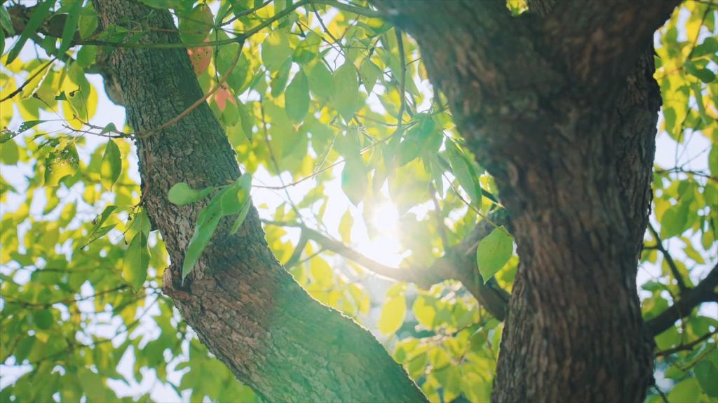 LETOU - 乐投(中文)官方网站