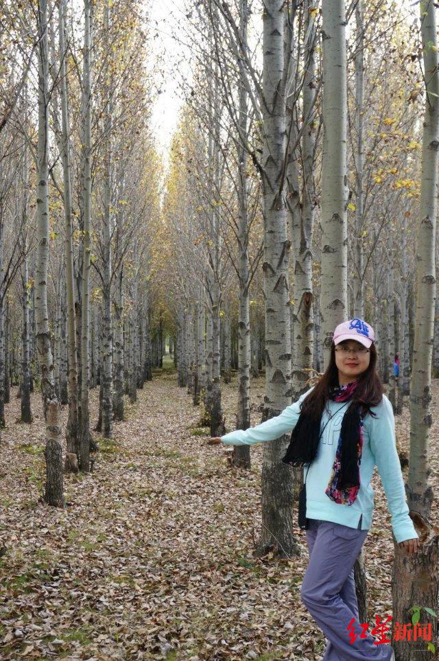 与成都，向未来 | 成都首批“产业建圈强链人才计划”入选者董娜：12年青春，同“城”发展