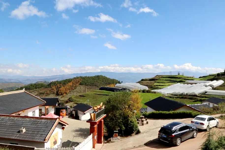 LETOU - 乐投(中文)官方网站