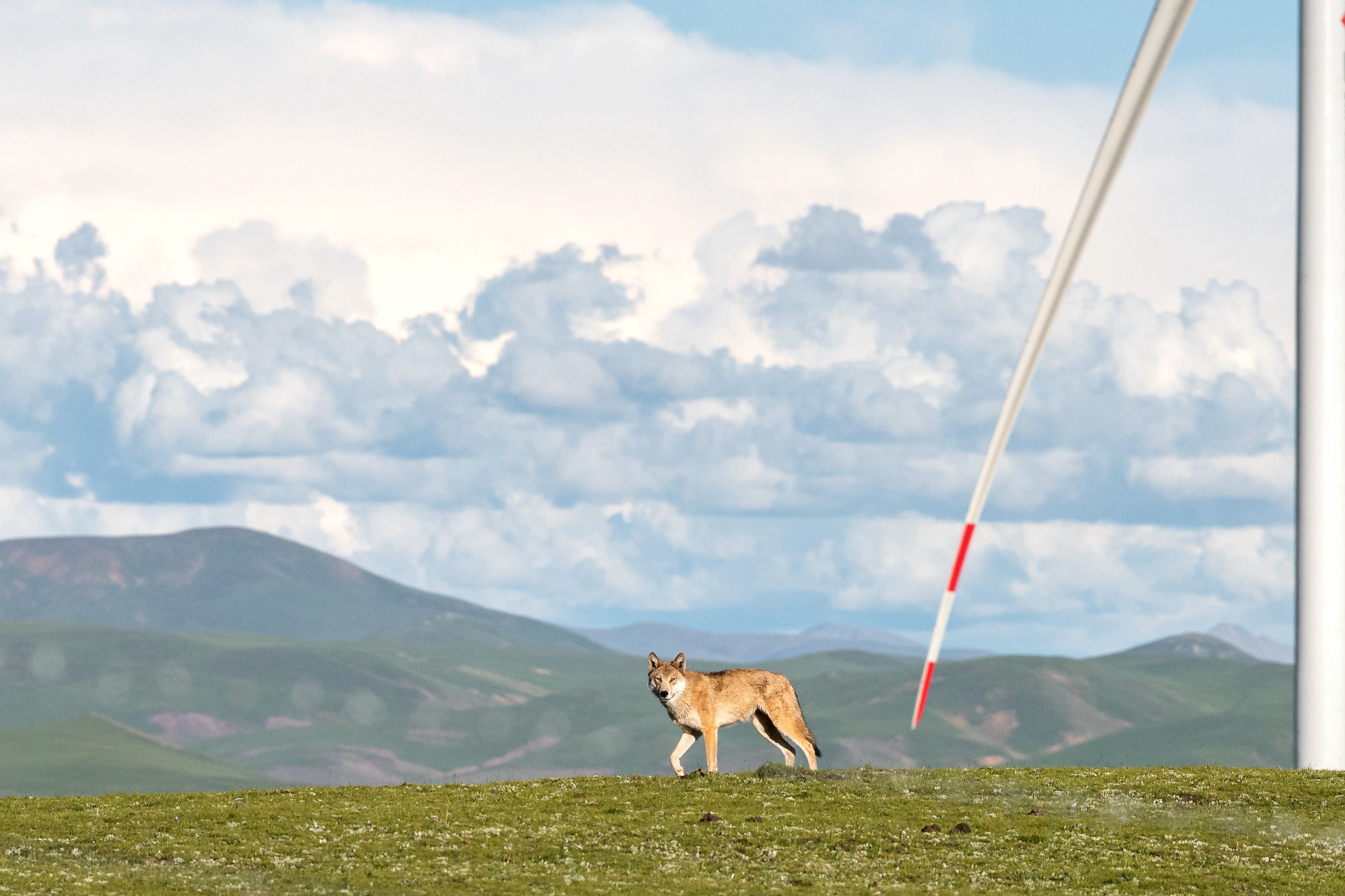 LETOU - 乐投(中文)官方网站
