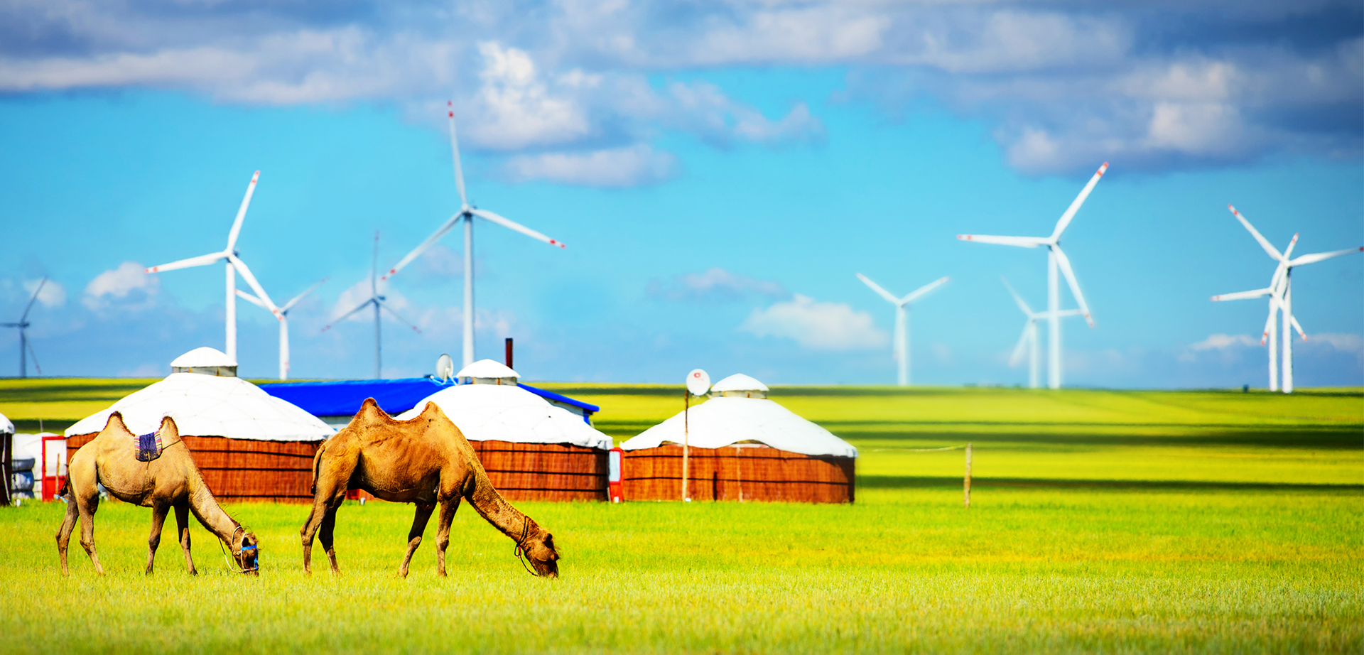 LETOU - 乐投(中文)官方网站