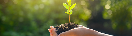 LETOU - 乐投(中文)官方网站